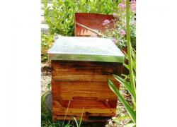 BEE HIVES FOR SALE