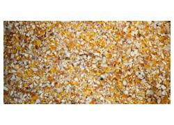 Grind Yellow Maize for sale