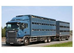 Livestock Transportation
